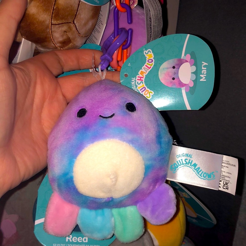 🐙 Bnwt Mary octopus clip